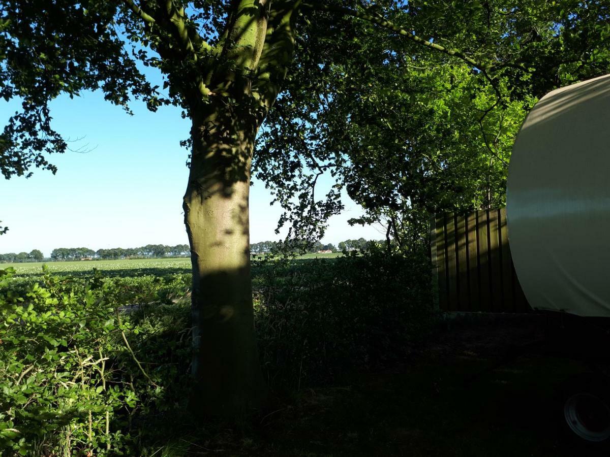 Irish Bowtop Op Het Platteland Van Huize Ouwervelden Wouwsche Plantage Eksteriør bilde